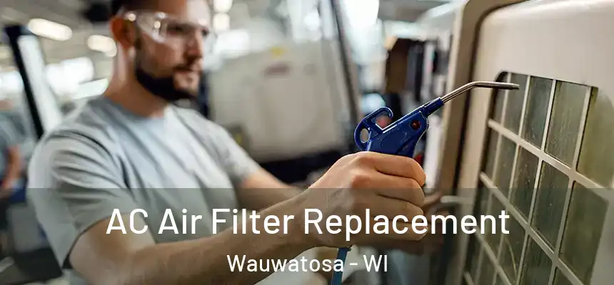 AC Air Filter Replacement Wauwatosa - WI