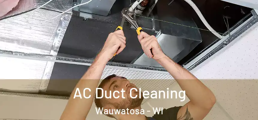  AC Duct Cleaning Wauwatosa - WI