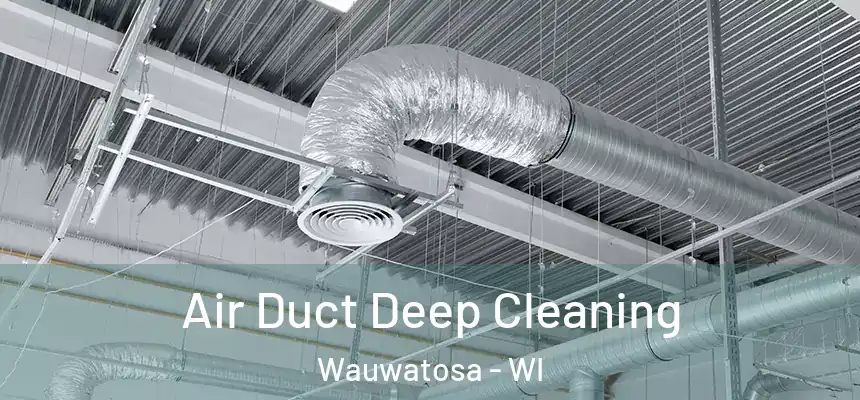 Air Duct Deep Cleaning Wauwatosa - WI