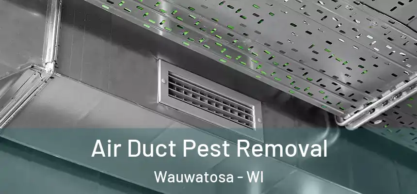 Air Duct Pest Removal Wauwatosa - WI