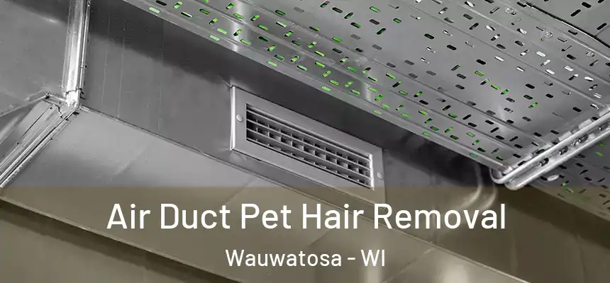  Air Duct Pet Hair Removal Wauwatosa - WI