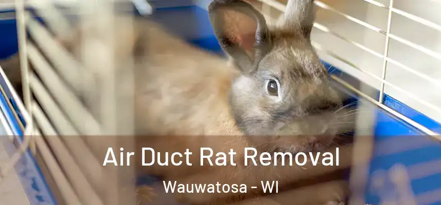  Air Duct Rat Removal Wauwatosa - WI