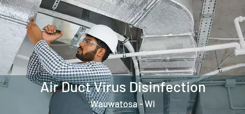 Air Duct Virus Disinfection Wauwatosa - WI