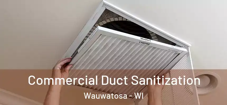 Commercial Duct Sanitization Wauwatosa - WI