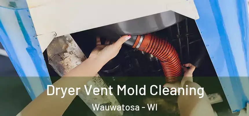 Dryer Vent Mold Cleaning Wauwatosa - WI
