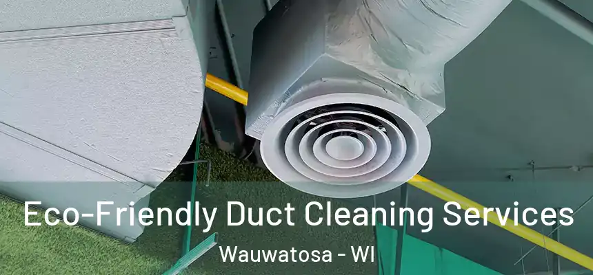  Eco-Friendly Duct Cleaning Services Wauwatosa - WI