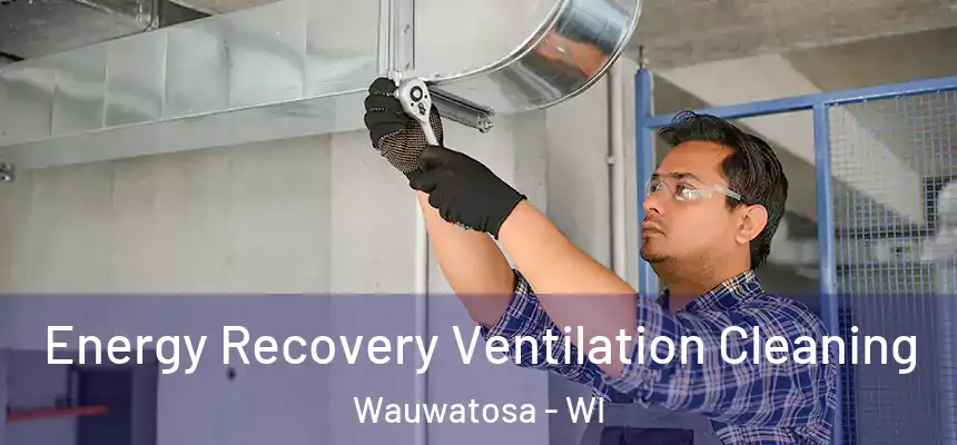 Energy Recovery Ventilation Cleaning Wauwatosa - WI