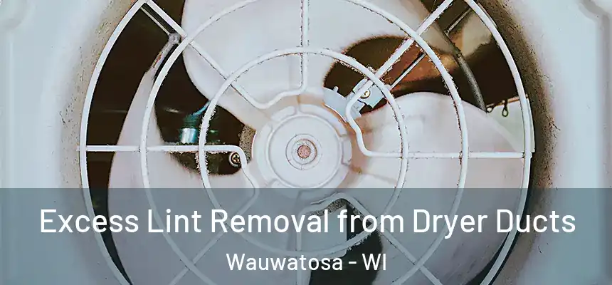  Excess Lint Removal from Dryer Ducts Wauwatosa - WI