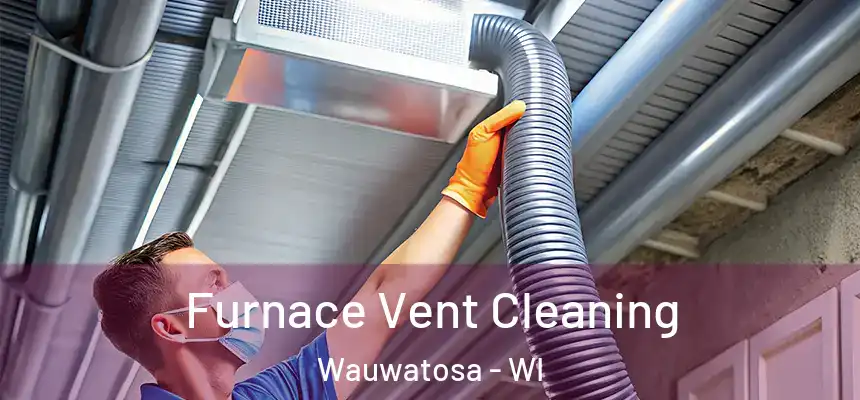 Furnace Vent Cleaning Wauwatosa - WI