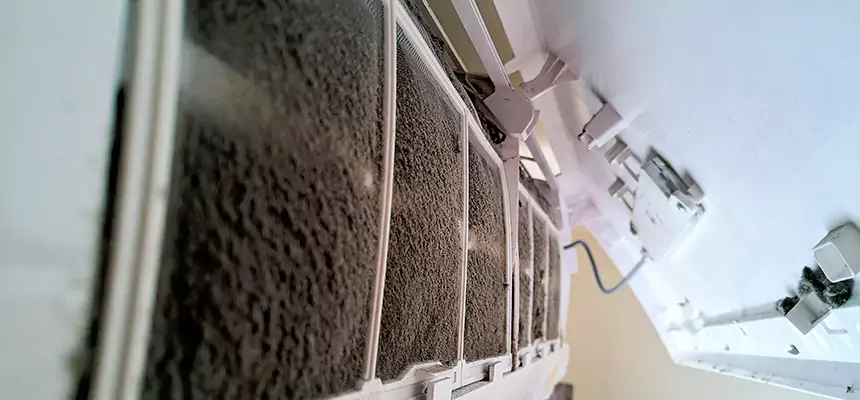 Preventive Air Duct Bacteria Removal in Wauwatosa