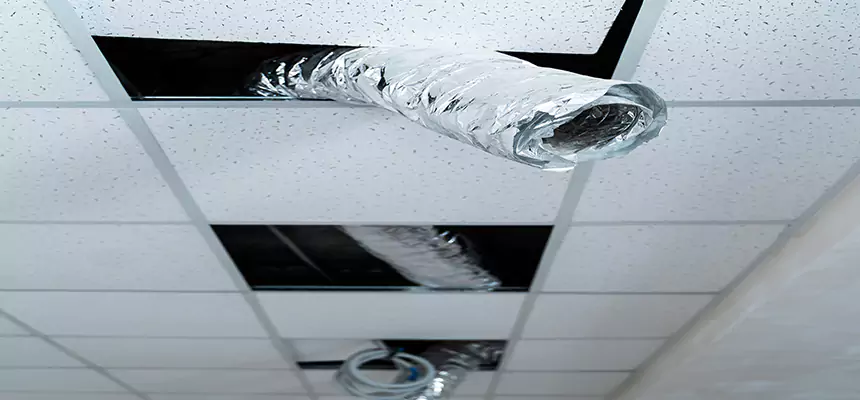 Affordable HVAC Sanitizing After Pest Removal in Wauwatosa