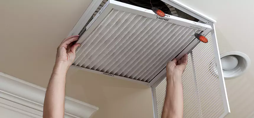 Our Insect Removal from Air Ducts Services in Wauwatosa, WI