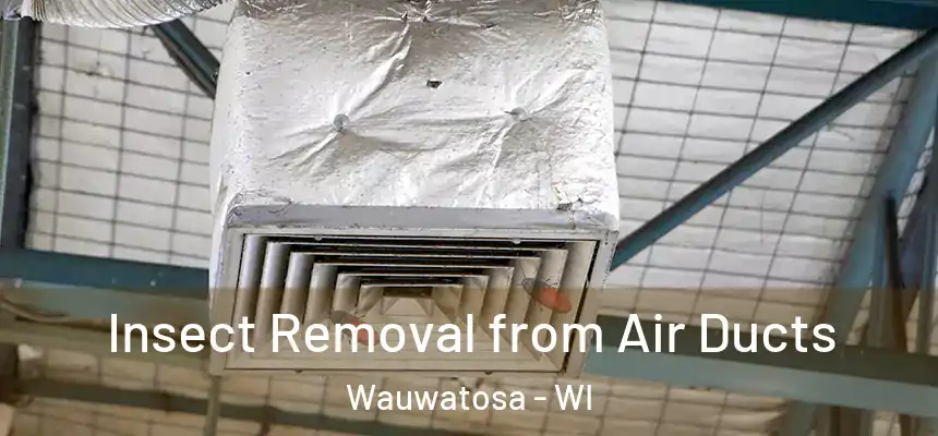 Insect Removal from Air Ducts Wauwatosa - WI