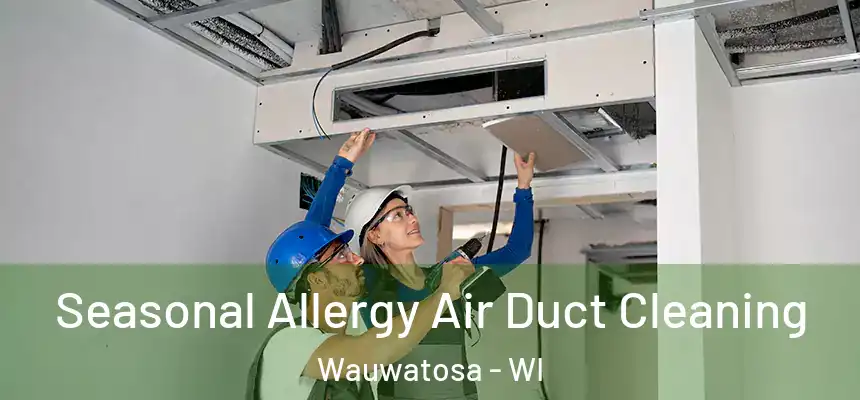 Seasonal Allergy Air Duct Cleaning Wauwatosa - WI