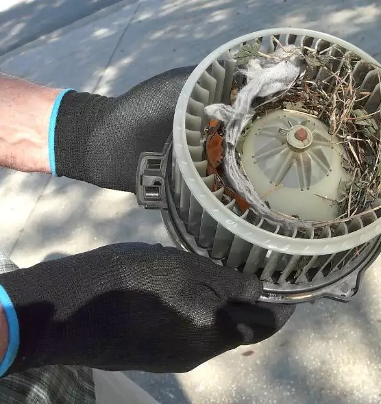 About Air Duct Mice Removal in Wauwatosa, WI