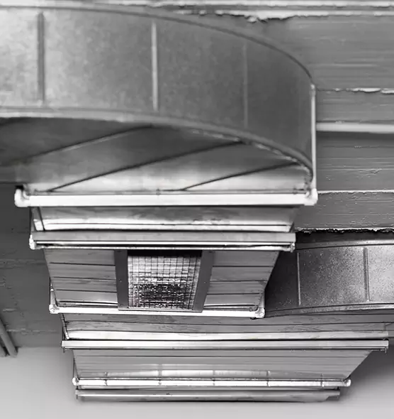 Professional Air Duct Pet Hair Removal in Wauwatosa, WI