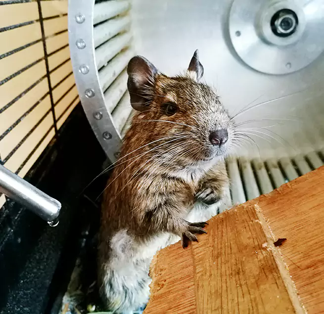 Why Homeowners & Businesses Trust Us Wauwatosa, WI