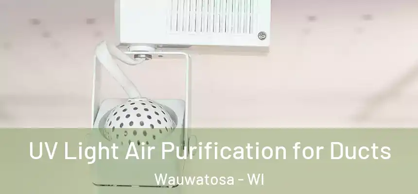 UV Light Air Purification for Ducts Wauwatosa - WI