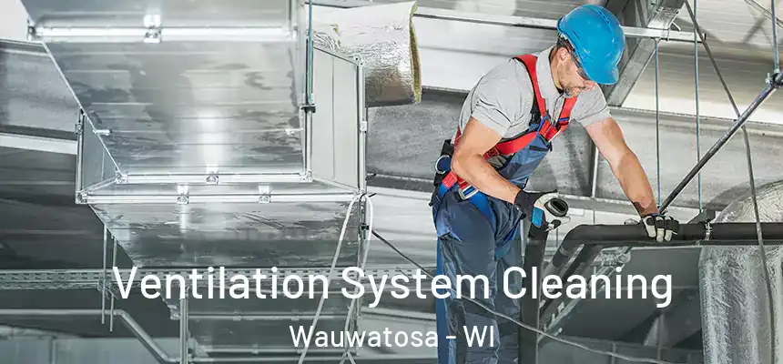 Ventilation System Cleaning Wauwatosa - WI