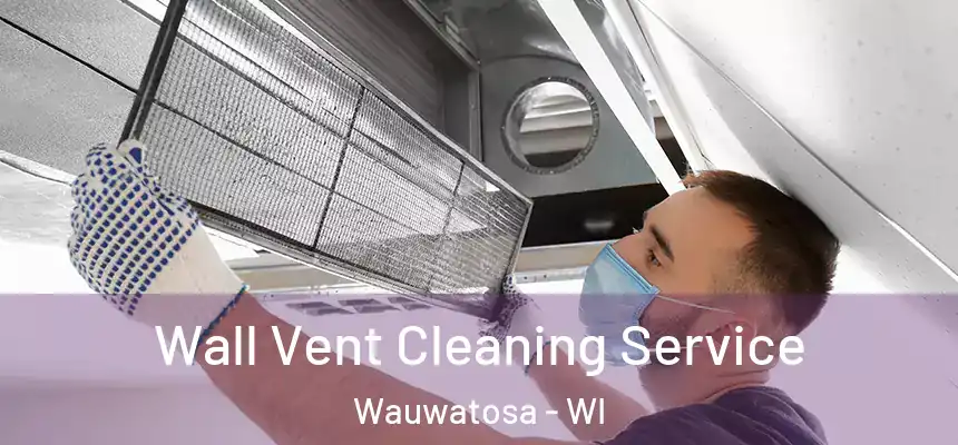Wall Vent Cleaning Service Wauwatosa - WI